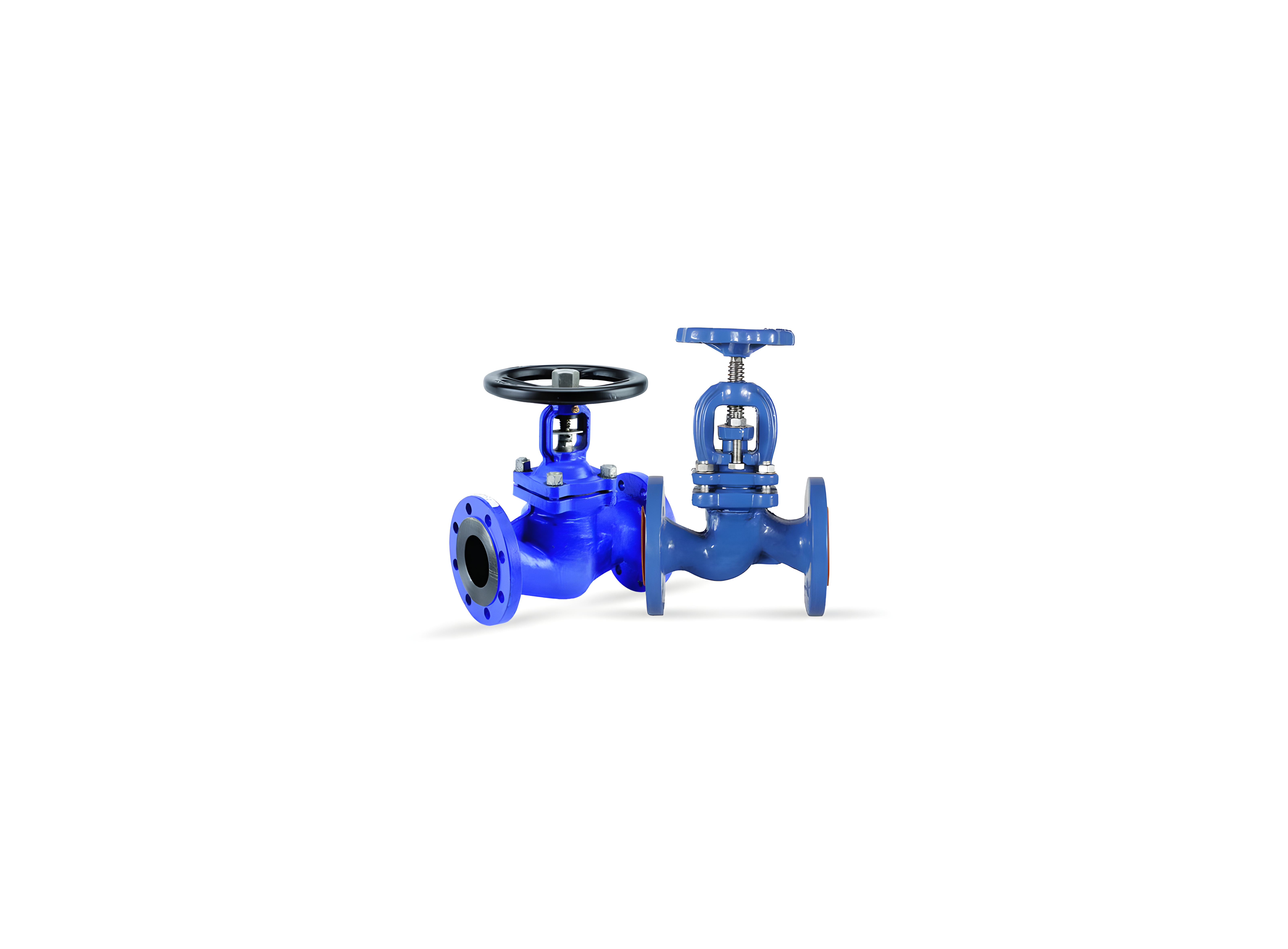 Globe Valve